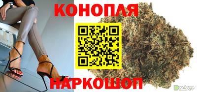 дмт Будённовск
