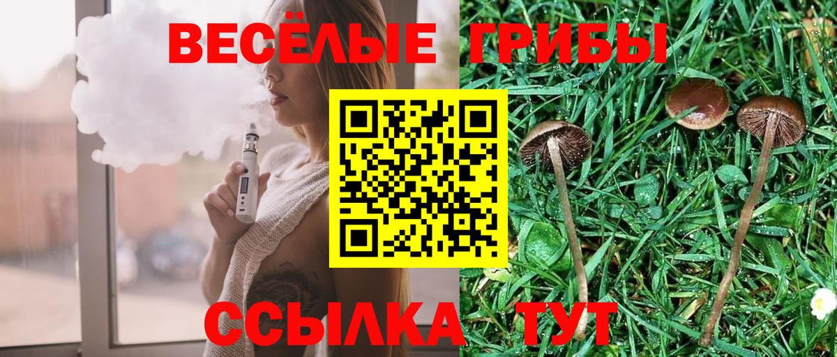 Галлюциногенные грибы Cubensis Энгельс