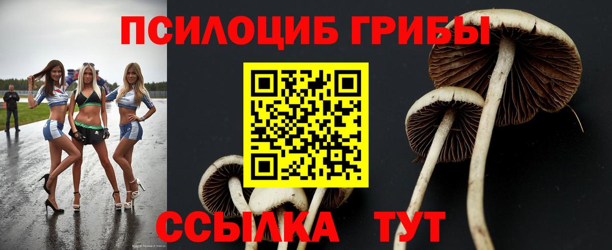 Псилоцибиновые грибы прущие грибы  Вход с VPN  Энгельс 
